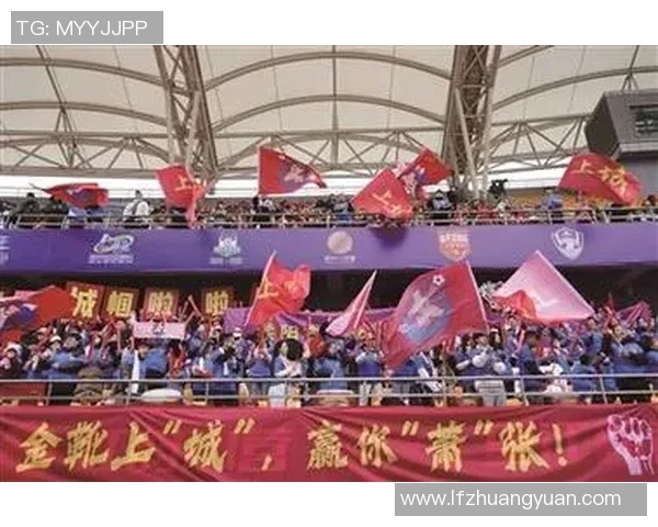 杭州排球队逆袭之路揭秘城市联赛背后的奋斗与荣耀